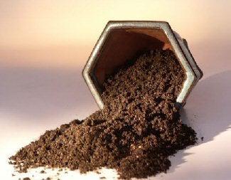 Bonsai Conifer Soil Mix (outdoor & juniper trees)