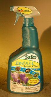 Safer Insect Soap In A Spray Bottle