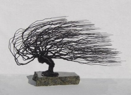 Wire Bonsai Tree Sculpture