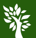 Green Bonsai logo