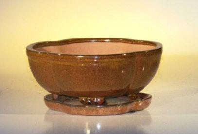 Aztec Orange Ceramic Bonsai Pot - Lotus Shape Attached Humidity/Drip tray 8.5" x 6.5" x 3.5"