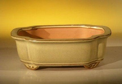 wood bonsai pot Bonsai Ceramic Pot main image 0