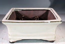 Beige Ceramic Bonsai Pot - Rectangle Professional Series 6" x 4" x 2"