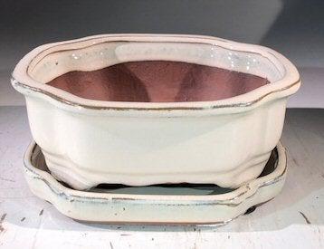 Beige Ceramic Bonsai Pot -Rectangle With Humidity Drip Tray 7" x 5.5" x 3"