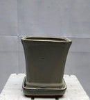 Beige Ceramic Bonsai Pot Square With Attached Humidity / Drip Tray 5.25" x 5.25" x 5.5"