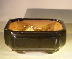 Black Ceramic Bonsai Pot - Rectangle Professional Series 8.25" x 6.25" x 4.0"