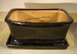 Black Ceramic Bonsai Pot- Rectangle Professional Series with Attached Humidity/Drip Tray 10.0" x 9.0" x 4.5"