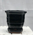 Black Ceramic Bonsai Pot - Square With Humidity / Drip Tray 5.5" x 5.5" x 5.5"