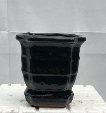 Black Ceramic Bonsai Pot - Square With Humidity / Drip Tray 5.5" x 5.5" x 5.5"