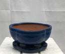 Blue Ceramic Bonsai Pot -Lotus Shaped With Humidity Drip Tray 6.25" x 5.25" x 3.5"
