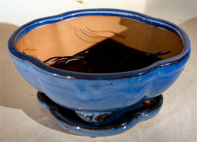 Blue Ceramic Bonsai Pot - Oval Professional Series with Attached Humidity/Drip tray 8.5" x 7" x 4"