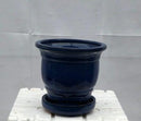 Blue Ceramic Bonsai Pot - Round Attached Humidity/Drip tray 5.75" x 5.75" x 5.0"