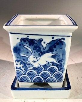 Blue on White Porcelain Bonsai Pot - Square With Attached Humidity Drip Tray 4" x 4" x 4"