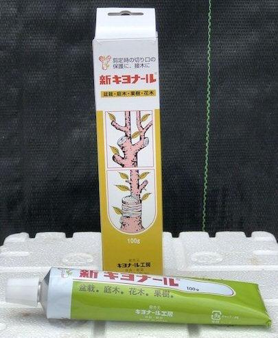 Bonsai Wound / Cut Paste Dressing - 100 Gram Tube Seals Bonsai Tree Wounds