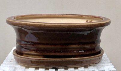 Bronze Ceramic Bonsai Pot - Oval With Humidity Drip Tray 8.5" x 7" x 3"