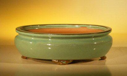 Green Ceramic Bonsai Pot - Oval 10" x 8" x 3.125"