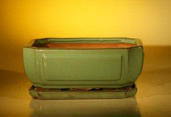 Green Ceramic Bonsai Pot - Rectangle Professional Series With Attached Humidity/Drip tray 10.75" x 8.5" x 4.125"
