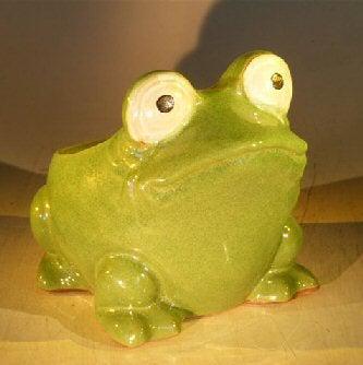 Green Frog Planter 7.0" x 9.0" x 7.5"