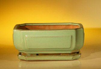 Light Green Ceramic Bonsai Pot - Rectangle Professional Series With Attached Humidity/Drip tray 8.5" x 6.5" x 3.5"