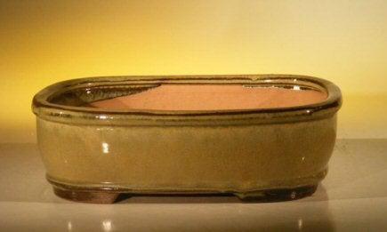 Olive Green Ceramic Bonsai Pot - Rectangle 10" x 8" x 3.125"