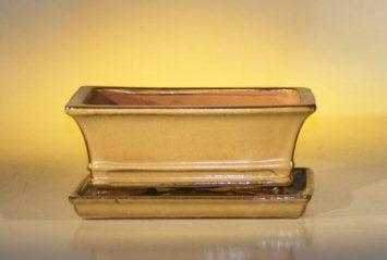 Olive Green Ceramic Bonsai Pot - Rectangle Professional Series with Attached Humidity/Drip tray 8.5" x 6.5" x 3.5"