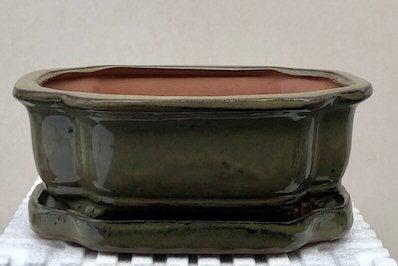 Olive Green Ceramic Bonsai Pot - Rectangle With Humidity Drip Tray 8.5" x 6.5" x 3"