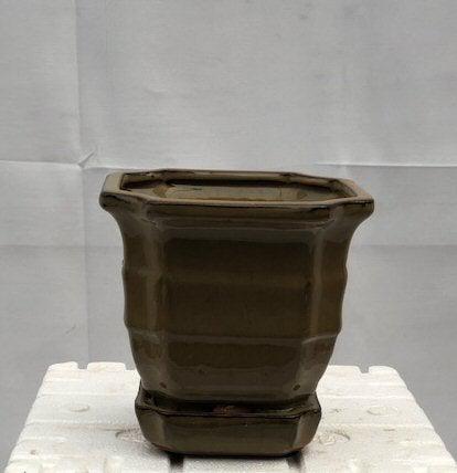 Olive Green Ceramic Bonsai Pot - Square With Humidity / Drip Tray 5.5" x 5.5" x 5.5"