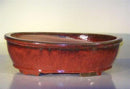 Parisian Red Ceramic Bonsai Pot - Oval 14.0" x 11.0" x 4.0"