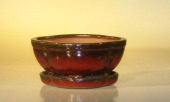 Parisian Red Ceramic Bonsai Pot- Oval Attached Humidity/Drip Tray Professional Series 6.37" x 4.75" x 2.625"