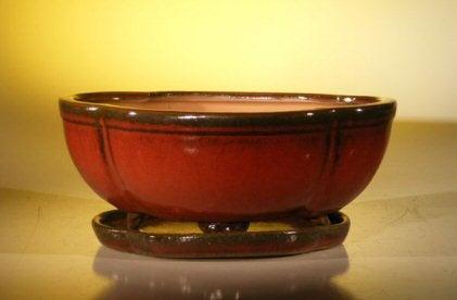 Parisian Red Ceramic Bonsai Pot - Oval / Lotus Shaped Professional Series With Attached Humidity/Drip tray 10.75" x 8.5" x 4.125"