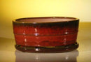 Parisian Red Ceramic Bonsai Pot - Oval Professional Series with Attached Humidity/Drip Tray 10.75" x 8.5" x 4.125"