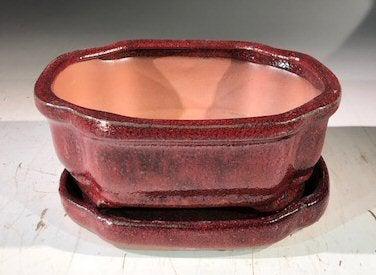 Parisian Red Ceramic Bonsai Pot -Rectangle With Humidity Drip Tray 6" x 4.5" x 2.5"