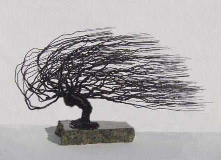 Wire Bonsai Tree Sculpture - Windswept Style